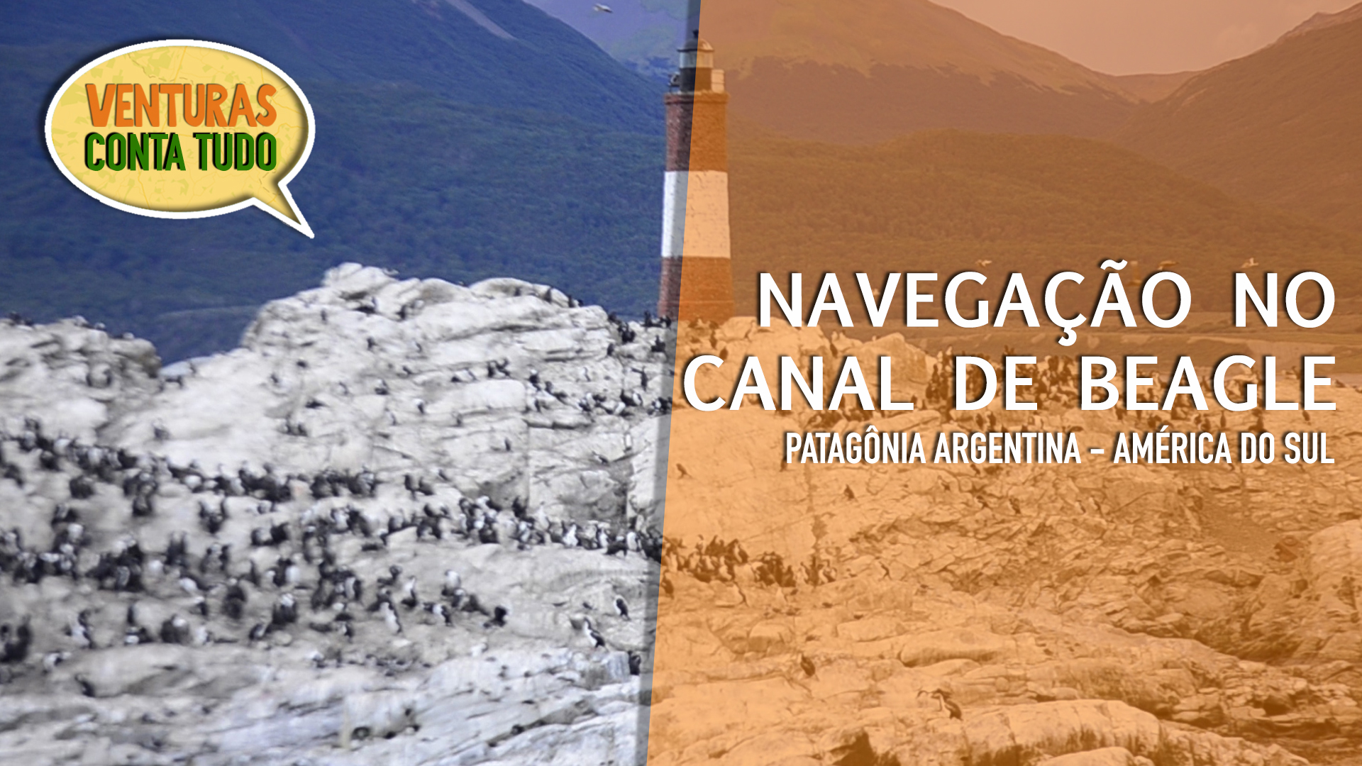 Você está visualizando atualmente Navegação pelo canal de Beagle em Ushuaia na Patagônia