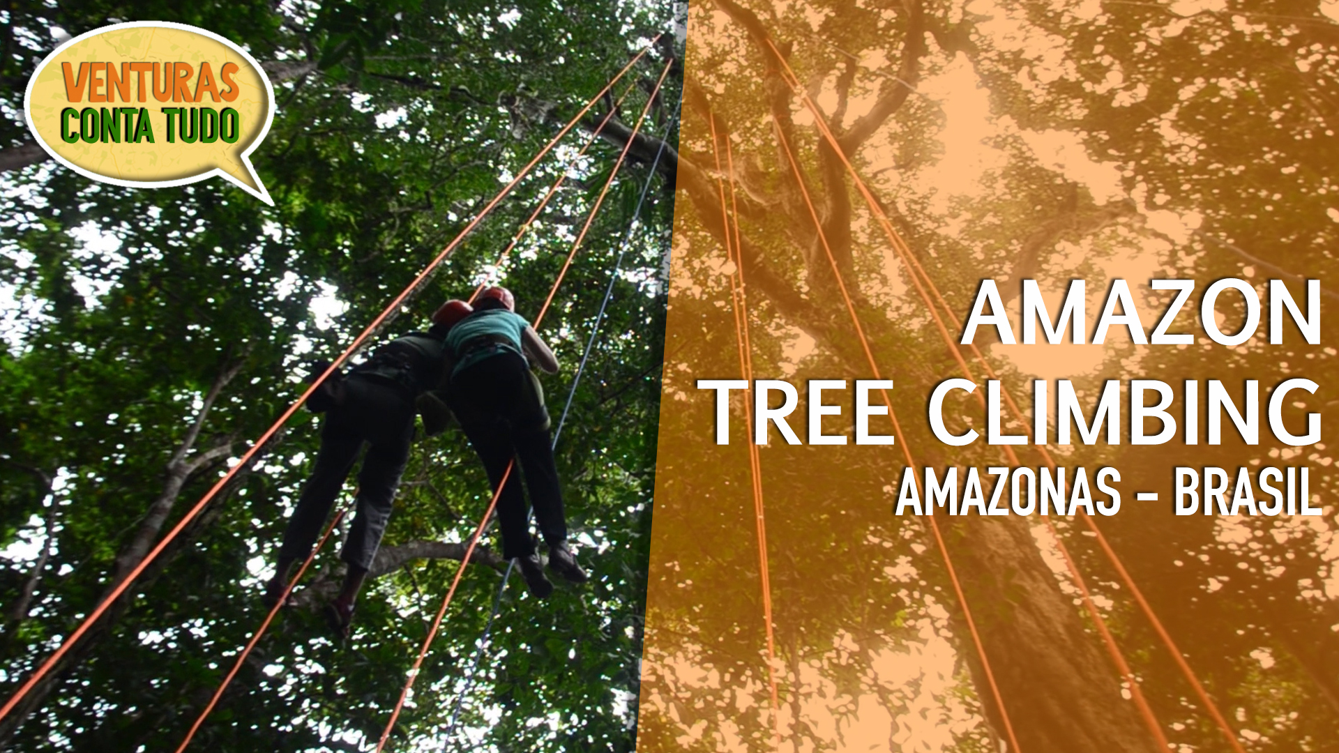 Você está visualizando atualmente Atividade Tree Climbing na Amazônia – Conta tudo