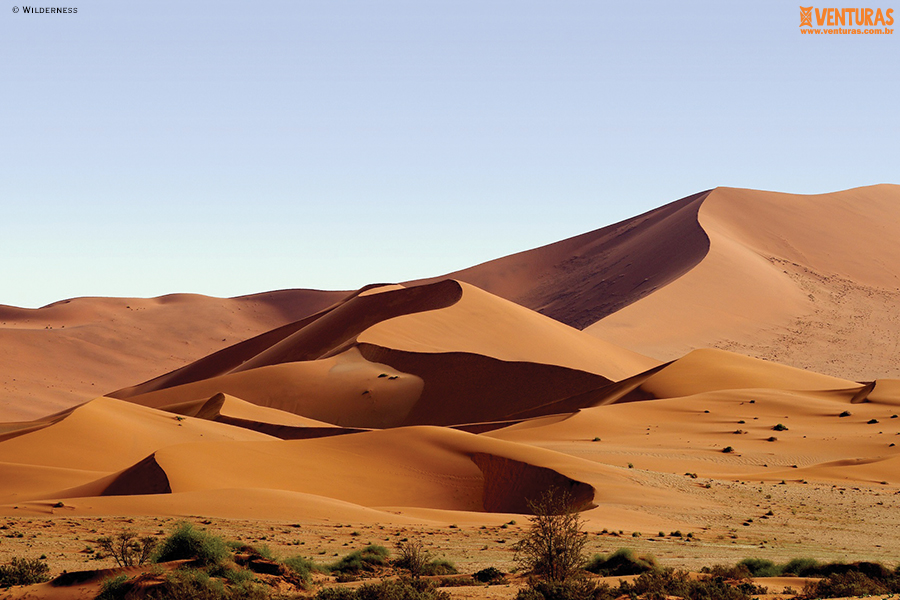 Leia mais sobre o artigo Namíbia o deserto mais antigo do mundo – Terra de Contrastes