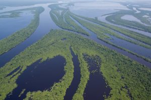 Dia da Amazônia: 5 motivos para visitá-la. Conheça aqui! Anavilhanas Médias 13 300x200 - Dia da Amazônia: 5 motivos para visitá-la. Conheça aqui!