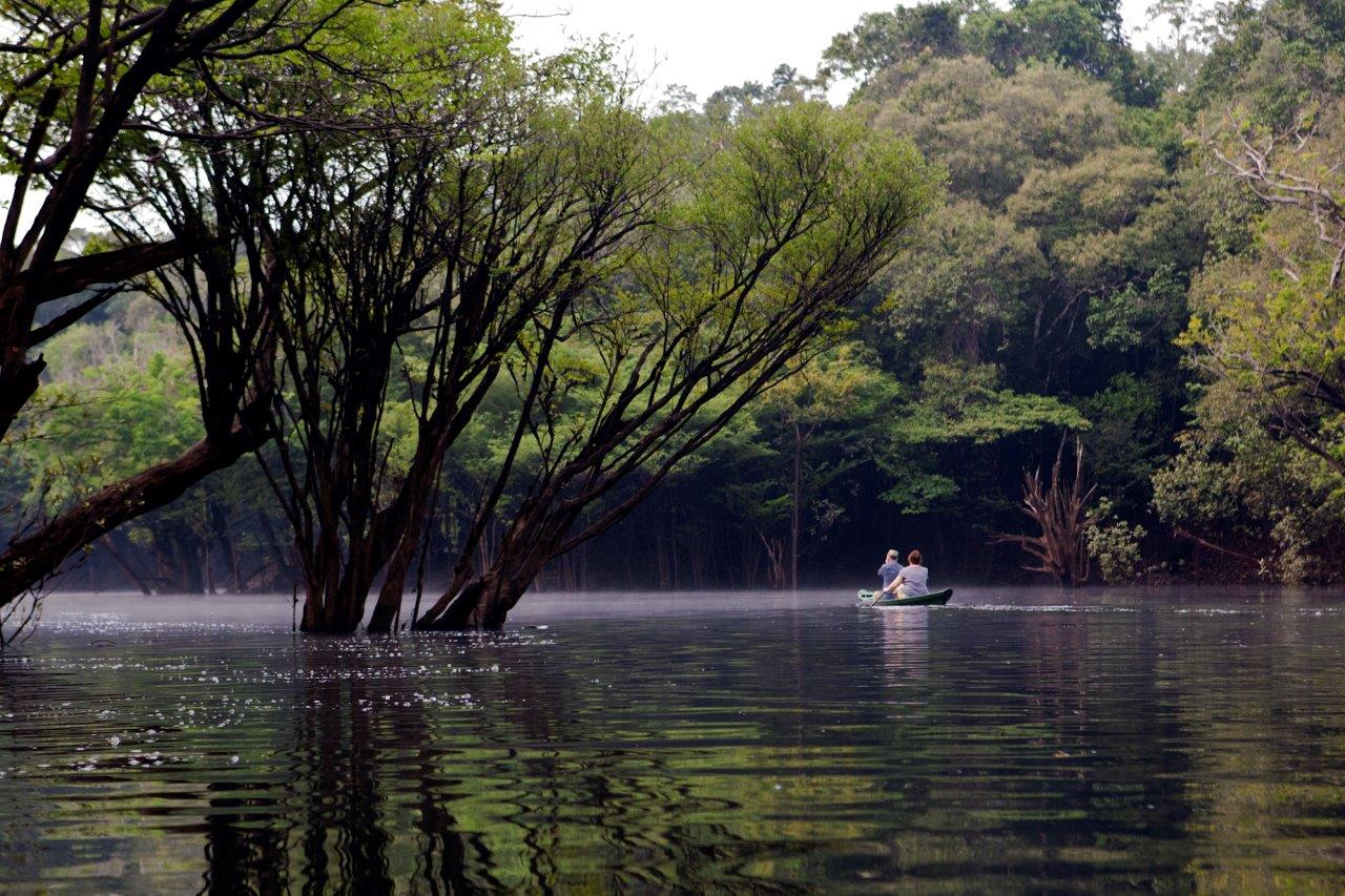 Read more about the article Dia da Amazônia: 5 motivos para visitá-la. Conheça aqui!