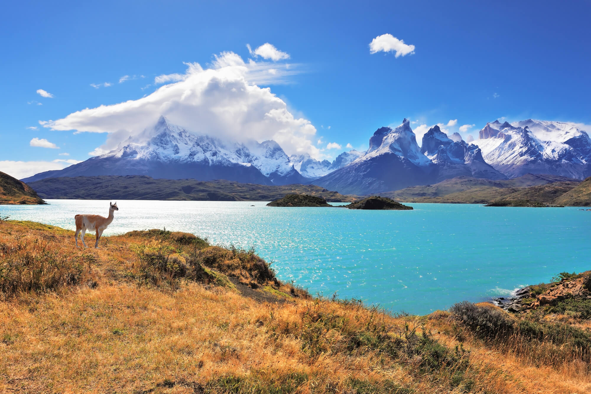 Read more about the article A patagônia Chilena e suas características. Descubra!