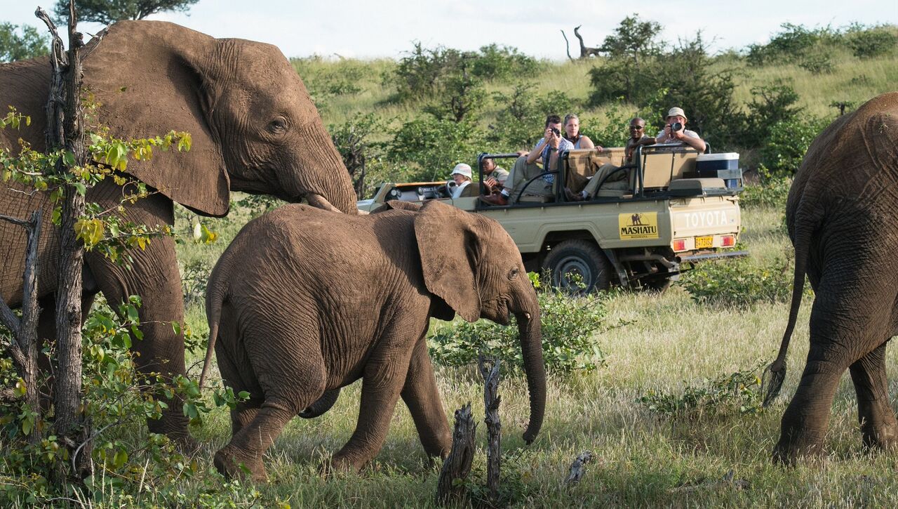 confira-6-safaris-na-africa-que-voce-precisa-conhecer.jpeg