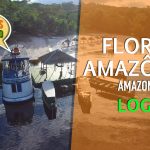 Como planejar sua viagem para a Amazônia? Uma experiência na floresta