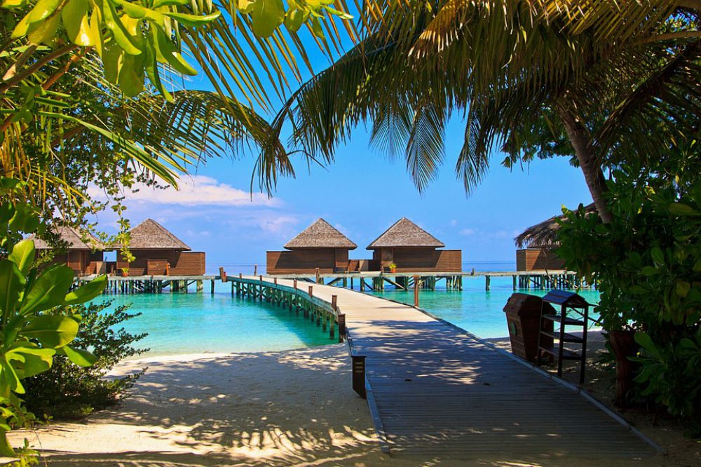 You are currently viewing 5 coisas que você precisa saber antes de ir para as ilhas maldivas