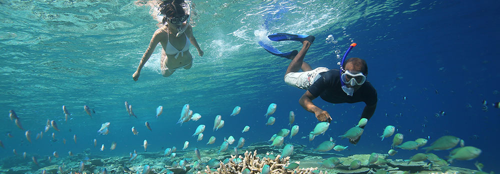 Snorkelling - 5 coisas que você precisa saber antes de ir para as ilhas maldivas