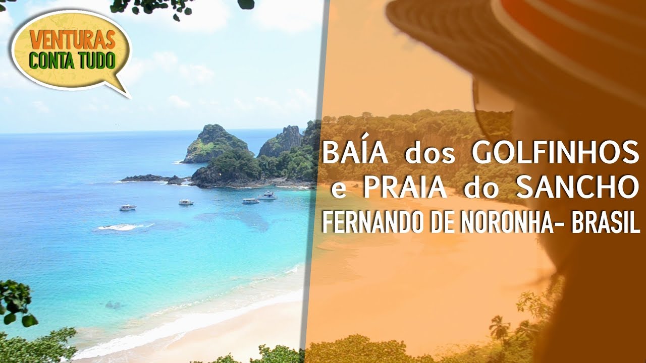 Read more about the article Baía dos Golfinhos e Praia do Sancho