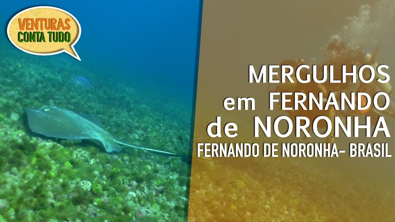 Read more about the article “Conta Tudo” sobre os Mergulhos em Fernando de Noronha