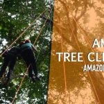 Atividade Tree Climbing na Amazônia – Conta tudo