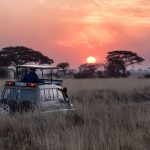 7 países africanos imperdíveis para os amantes da natureza