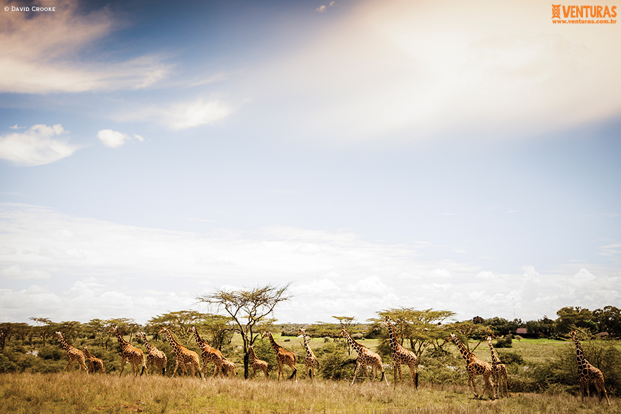 países africanos Kenya e Tanzânia