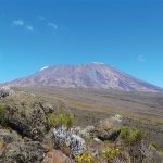 Kilimanjaro - Manoel Morgado