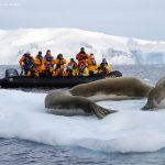 Antártida Quark expeditions The Global Nomads 09 150x150 - Antártida: por que conhecer esse lugar incrível