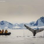 Antártida - Quark Expeditions - The Global Nomads