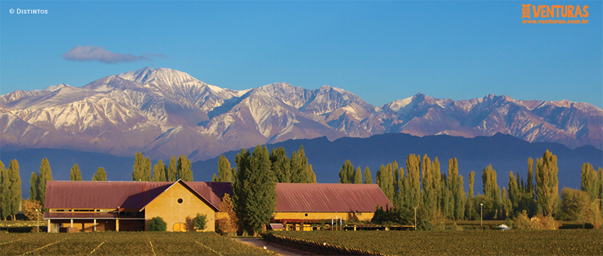 You are currently viewing Mendoza – O sabor dos Andes