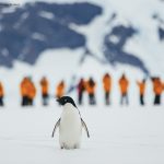 Antártida – O continente gelado
