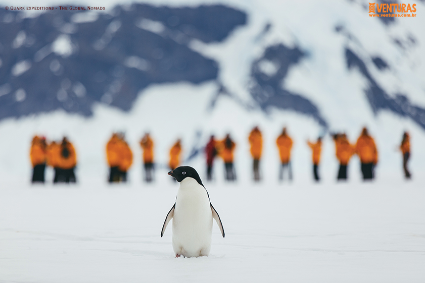 Read more about the article Antártida – O continente gelado