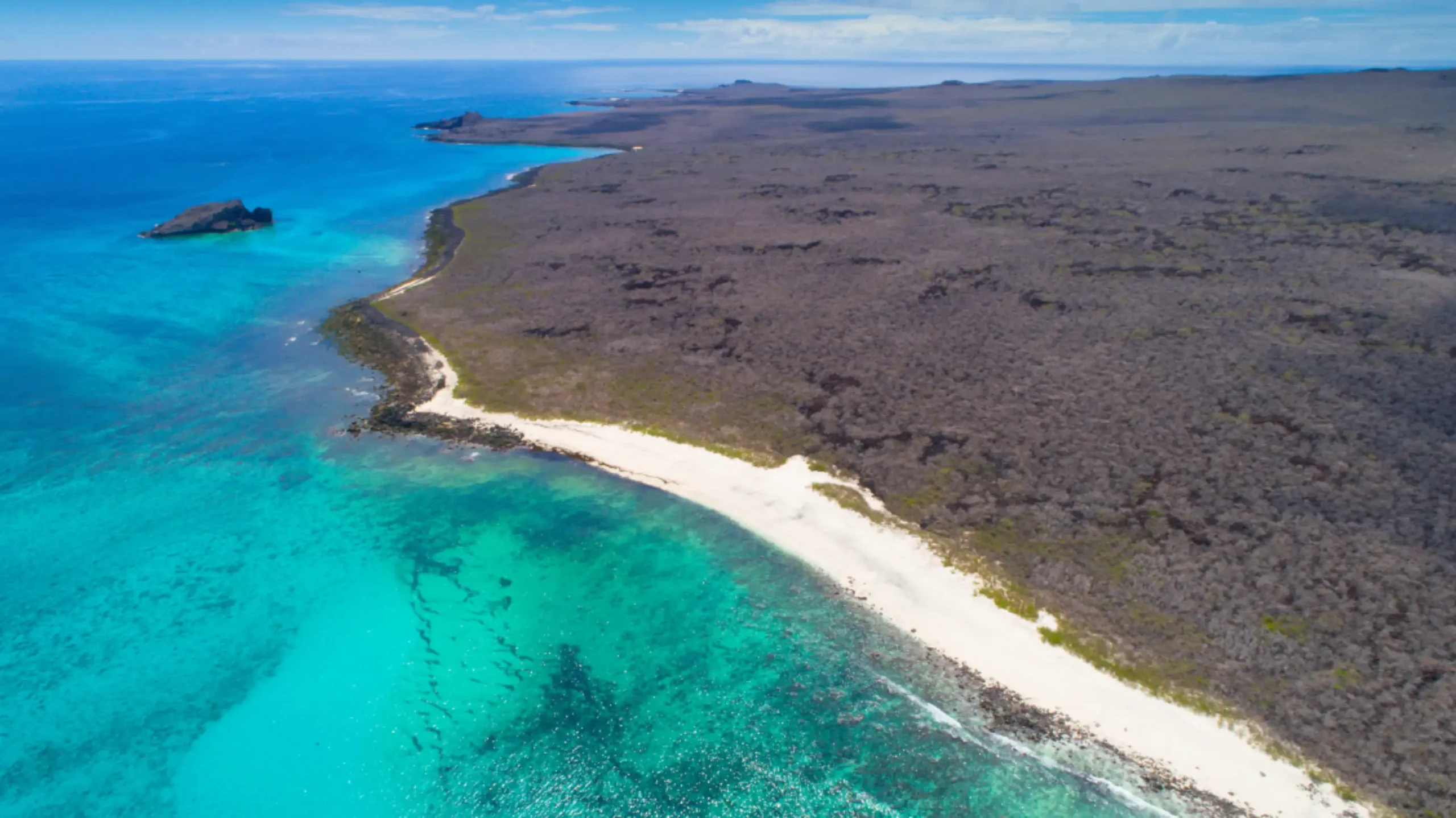 Leia mais sobre o artigo Equador e Galápagos: natureza selvagem e cultura viva