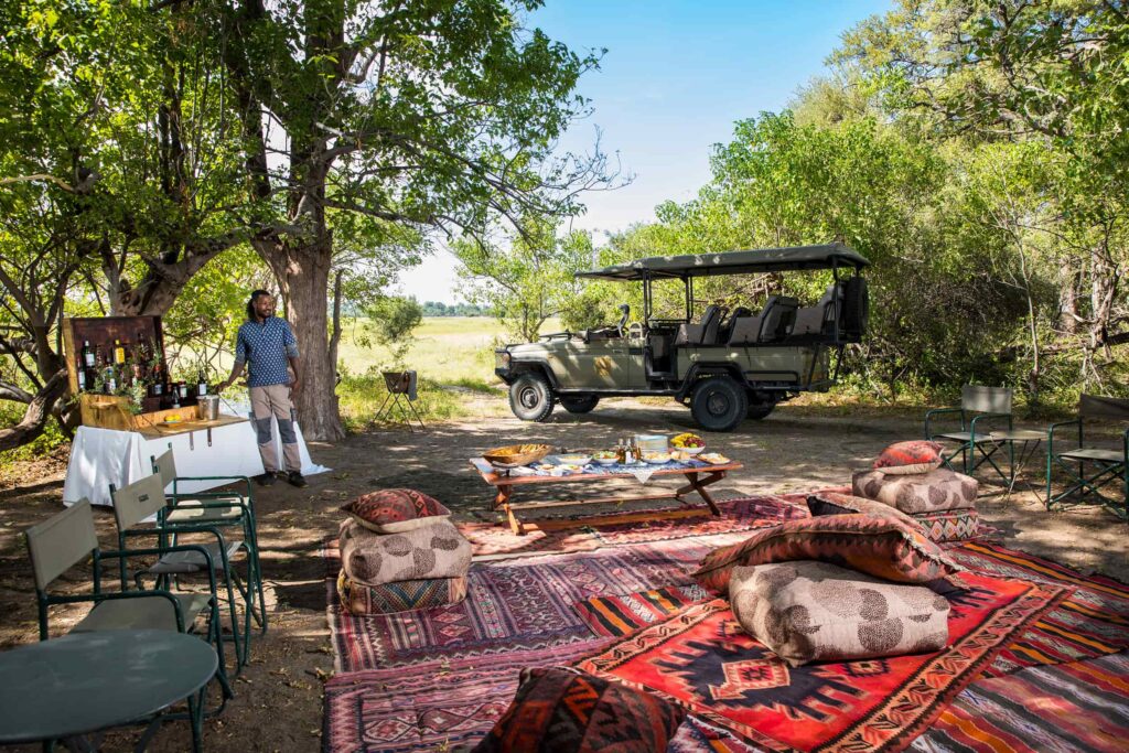 safari na africa 