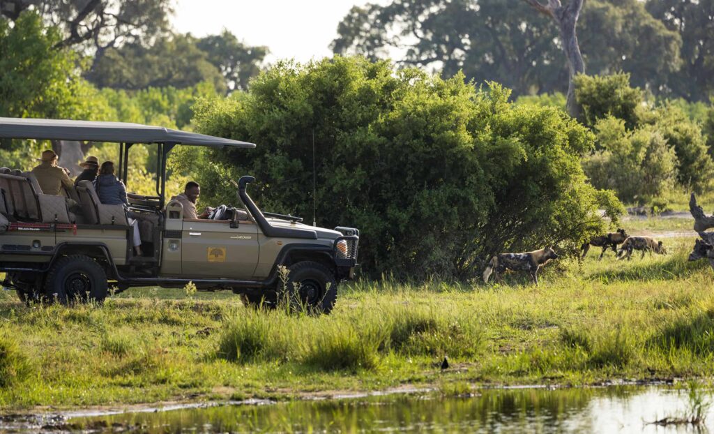 safari na africa