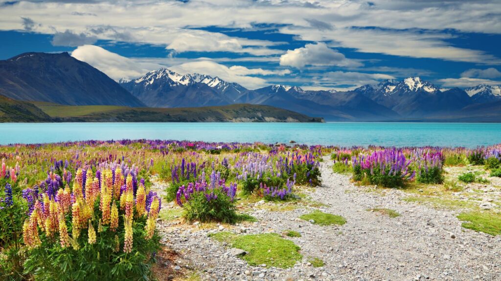 viagem para Austrália e Nova Zelândia 4