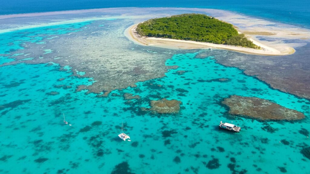 viagem para Austrália e Nova Zelândia - Cairns