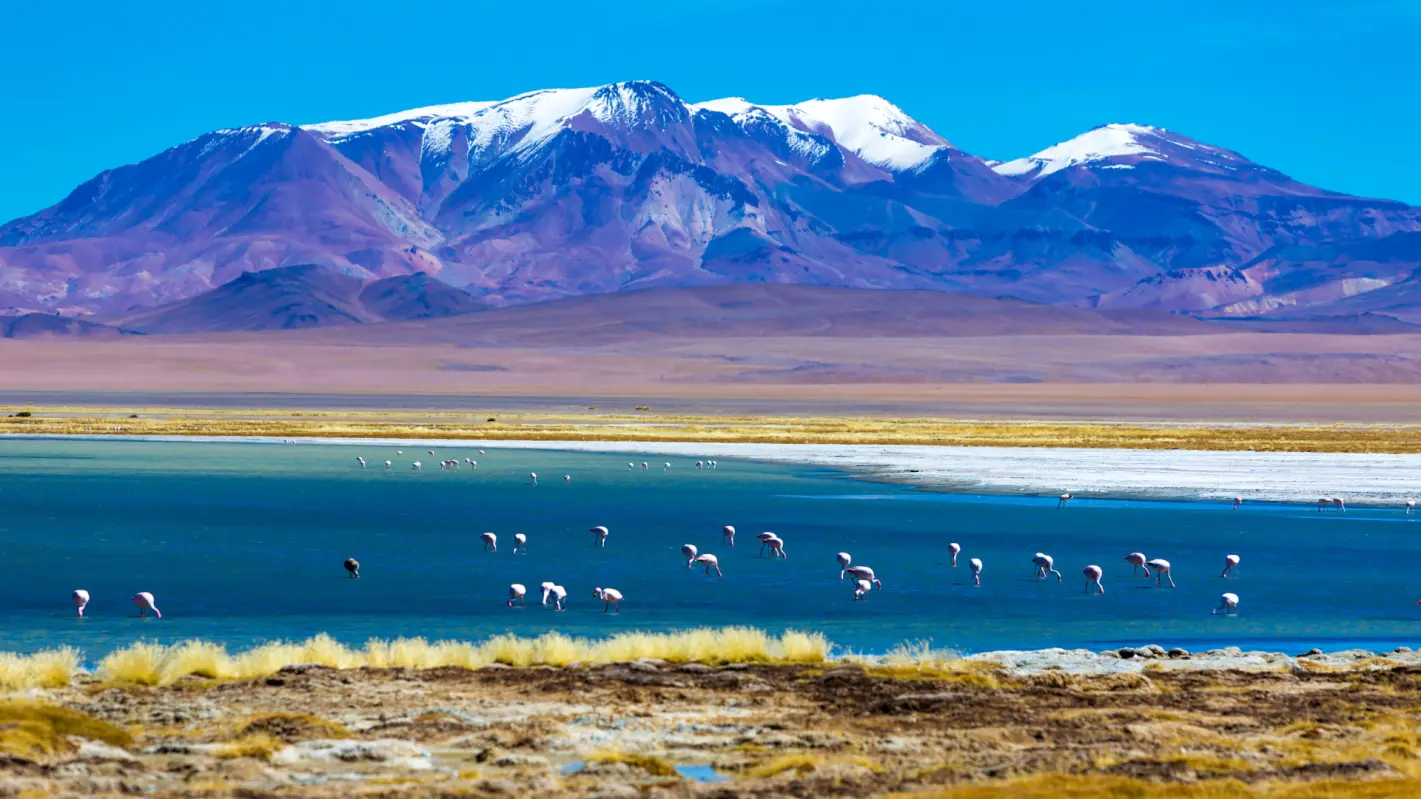Leia mais sobre o artigo Deserto do Atacama: guia completo para planejar sua viagem, conhecer os principais atrativos e combinar com o Salar do Uyuni