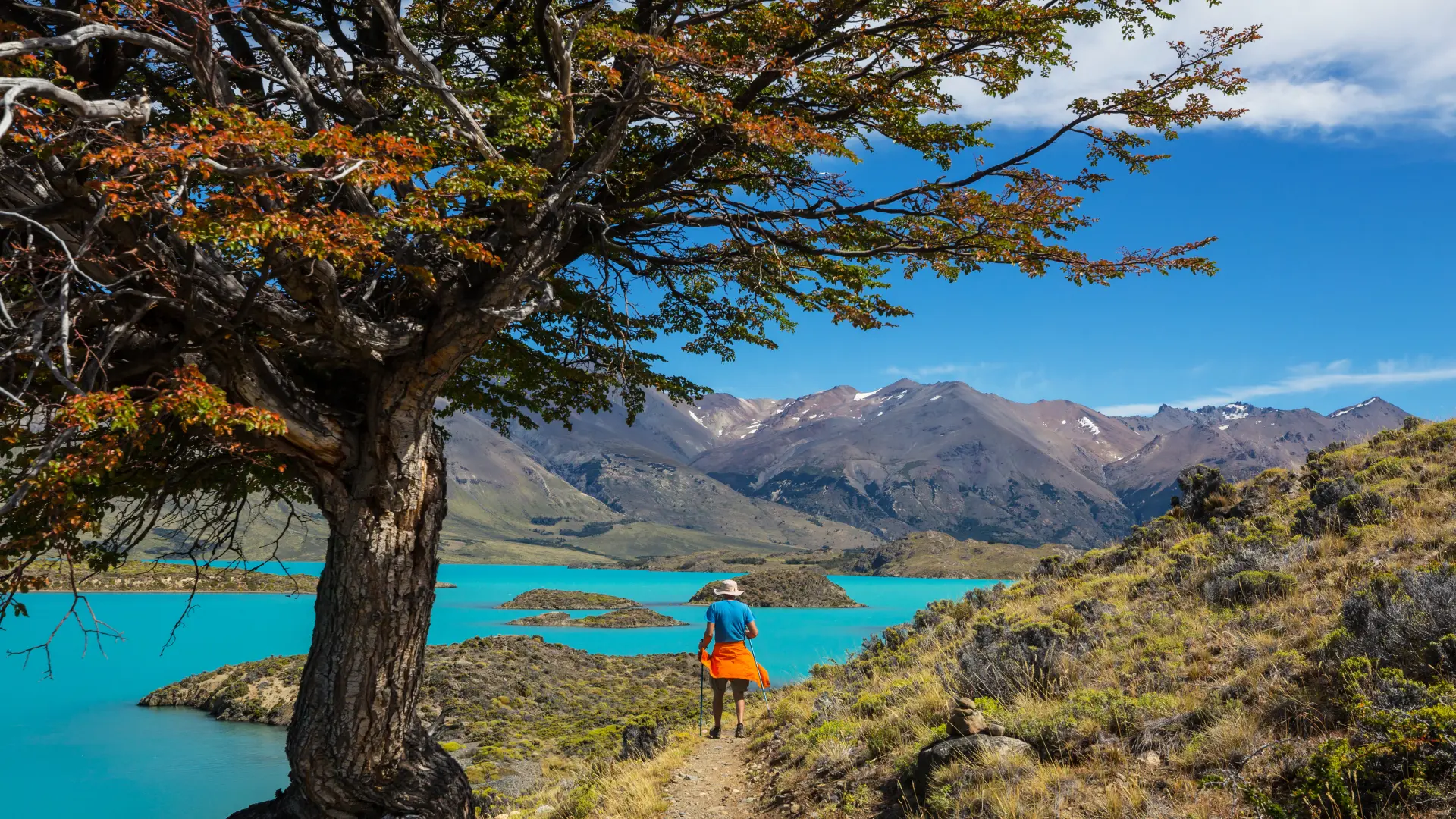 Leia mais sobre o artigo Patagônia: guia completo para planejar uma viagem aos confins do mundo