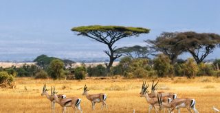 Turismo na África